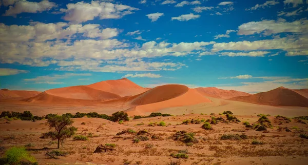 Písečné Duny Namib Naukluft Národní Park Namibie — Stock fotografie