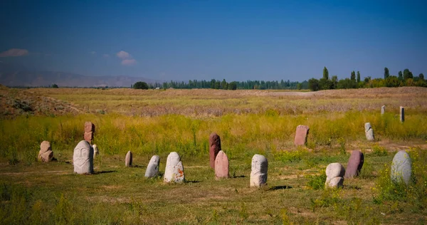 Kurgan Stelae Aka Balbals Vicino Alla Torre Berana Tokmok Kirghizistan — Foto Stock