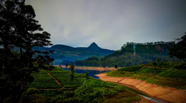 Vue Panoramique Sur Sommet Lac Sri Pada Avec Plantation Thé — Photo