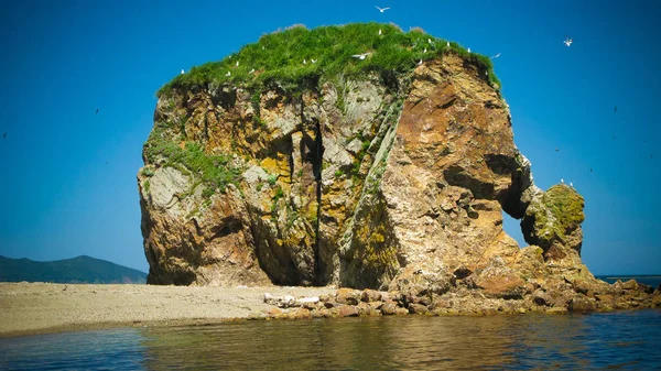Cabo Velikan Escultura Naturaleza Gigante Piedra Alias Elefante Sajalín Rusia —  Fotos de Stock