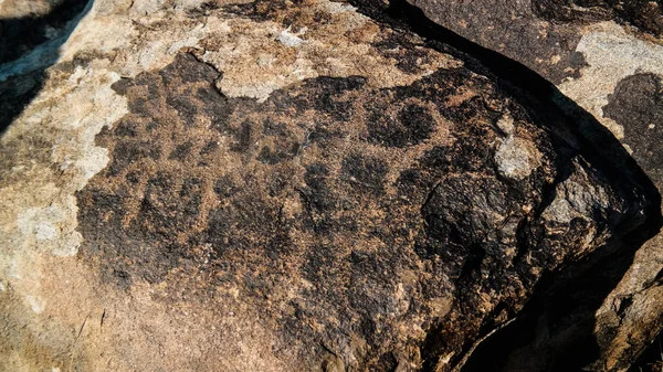 Rock painting aka petroglypgs at the field , Cholpon-Ata, Issyk-kul, Kyrgyzstan