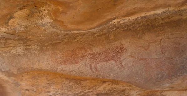 Jeskynní Malby Petroglyfy Amojjar Jeskyni Mauritánie — Stock fotografie