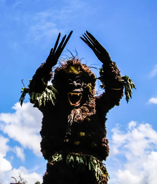 Teilnehmer Des Berghagen Stammesfestes 2014 Berghagen Papua Neuguinea — Stockfoto