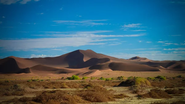 Dunes Sable Parc National Namib Naukluft Namibie — Photo