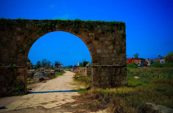 黎巴嫩轮胎古柱开挖遗址墓地和拱门遗迹 — 图库照片