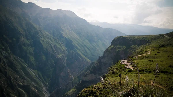 Condores acima do cânion Colca no ponto de vista de Condor Cross ou Cruz Del Condor, Chivay, Peru — Fotografia de Stock