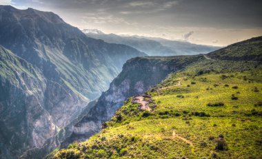 Condor Condor çapraz veya Cruz Del Condor bakış açısı, Chivay, Peru Colca Kanyon'da yukarıda