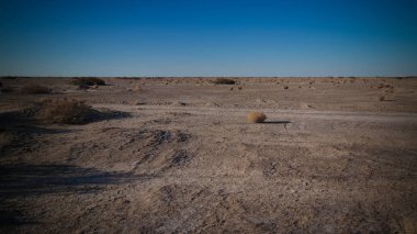 Manzara aralkum Aralcum çöl eski bir yatak olarak Aral Denizi, Özbekistan
