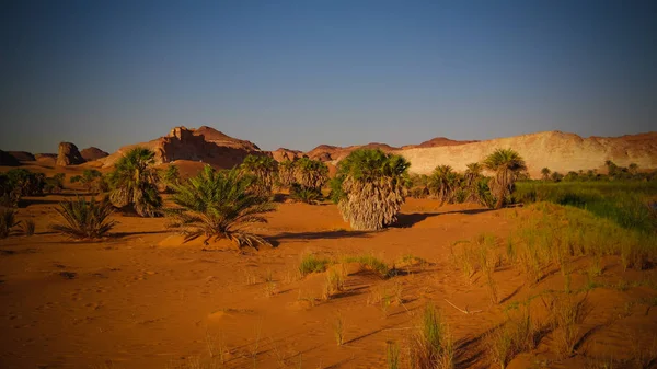 Vista panorámica al grupo de lago Boukkou de los lagos Ounianga Serir en el Ennedi, Chad — Foto de Stock