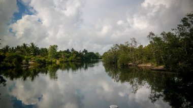 Rasoabe ve Ranomainty Lakes arasında kanal peyzaj, Madagaskar