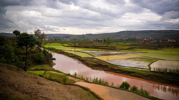 Krajobraz z pól ryżowych i rzeki Onive w Antanifotsy, Madagaskar — Zdjęcie stockowe