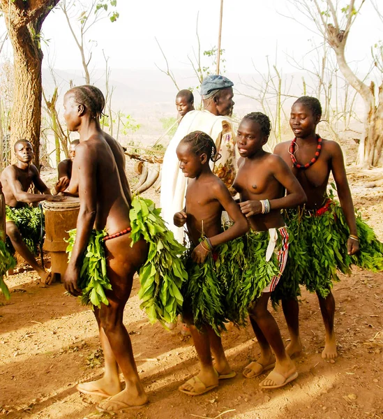 Dancing Dowayo aka Duru tribe woman - Poli, Camerún —  Fotos de Stock