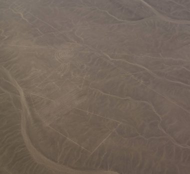 Nazca geoglyph hatları nam-ı diğer Monkey, Ica, Peru havadan uçak panoramik görünümü