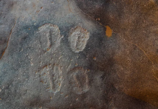 Huellas y huellas de animales - Pinturas rupestres y petroglifos en Tamezguida en el parque nacional Tassili nAjjer, Argelia — Foto de Stock