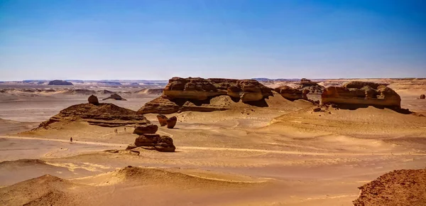 Příroda Socha ve Wádí Al-Hitan neboli velryby údolí v Egyptě — Stock fotografie