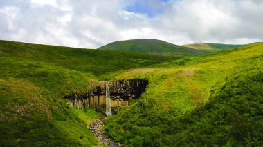 Svartifoss şelale Skaftafell Milli Park, İzlanda