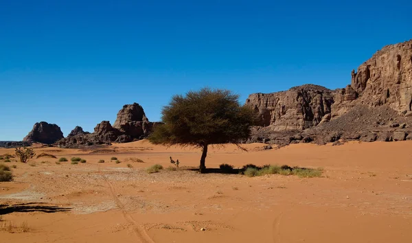 Absztrakt Rock formation Boumediene-az Algériai Tassili najjer nemzeti park — Stock Fotó