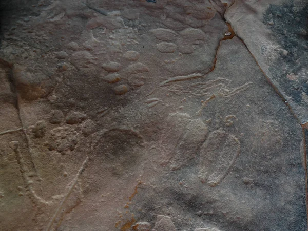 Huellas y huellas de animales - Pinturas rupestres y petroglifos en Tamezguida en el parque nacional Tassili nAjjer, Argelia — Foto de Stock