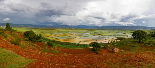 Paisaje con los arrozales y el río Onive en Antanifotsy, Madagascar —  Fotos de Stock