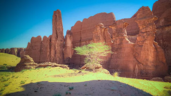 Resumen Formación rocosa en meseta Ennedi aka bosque de piedra en Chad — Foto de Stock