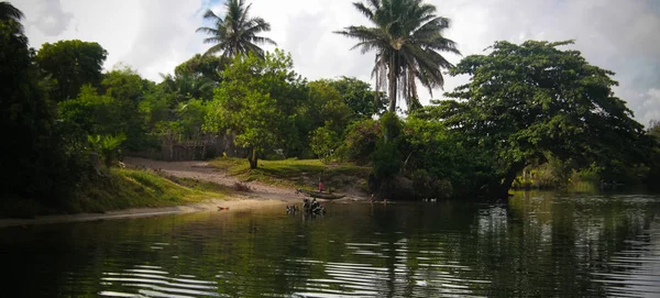 Paysage du canal entre les lacs Rasoabe et Ranomainty, province de Toamasina, Madagascar — Photo