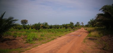 Ewe aka gen insanlar woodoo köyü. Anfoin, Togo