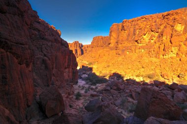 Panorama içinde kanyon aka Guelta d'Archei Doğu Ennedi, Çad içinde