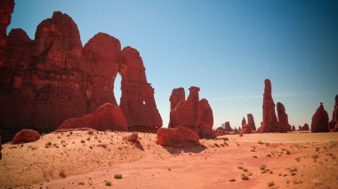 Çad 'de Plato Ennedi aka taş ormanı soyut rock oluşumu