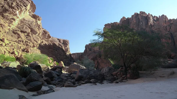 Panorama dentro del cañón aka Guelta d 'Archei en East Ennedi, Chad — Foto de Stock