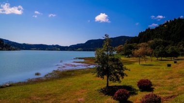 Kıyı şeridi görünümüne Furnas Gölü, Sao Migel, Azores, Portekiz