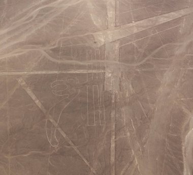 Nazca geoglyph hatları nam-ı diğer papağan, Ica, Peru havadan uçak panoramik görünümü