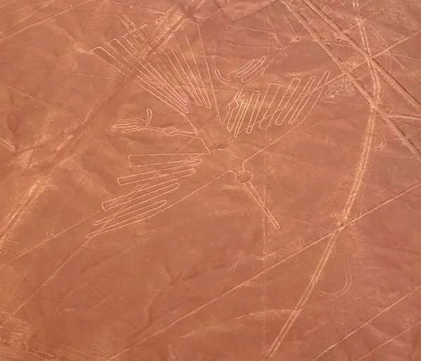 Avião aéreo vista panorâmica para as linhas de geoglifo de Nazca aka Condor, Ica, Peru — Fotografia de Stock