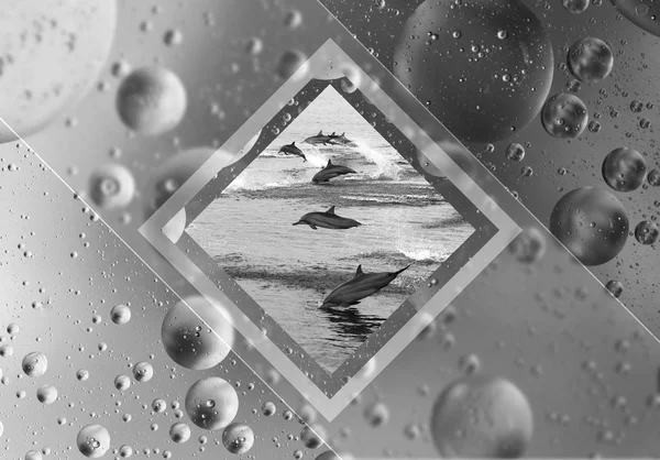 拼贴画是几何的 桌面背景 一群海豚在海里 水中空气的气泡 — 图库照片