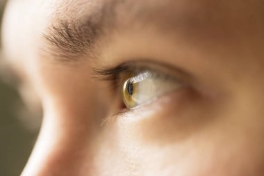 İnsan gözü, bir güzel öğrenci renk bir gökkuşağı darbesiyle bir close-up. Kirpik göz yansıtılır
