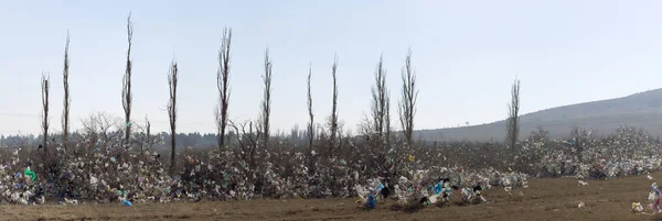 Terrifying pollution of nature with human waste. Panoramic view of the city outskirts strewn with used packages.