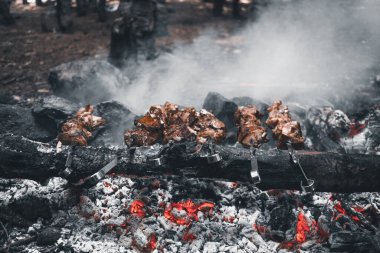   Ormandaki şenlik ateşinde kebap. Kızgın kömürlerin üzerinde şiş üzerinde lezzetli et parçaları. Doğa Yürüyüşü Kamp Barbeküsü      