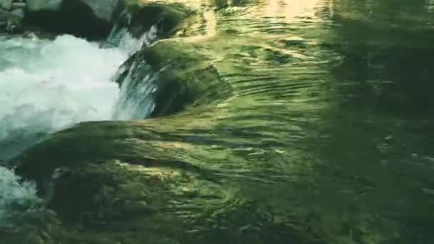 Primer Plano Río Montaña Parque Nacional Con Aguas Transparentes Que — Vídeo de stock