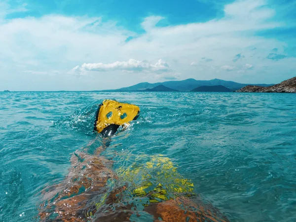 Patas Mujer Aletas Natación Mar Tropical Aguamarina Temporada Turística Calurosa — Foto de Stock