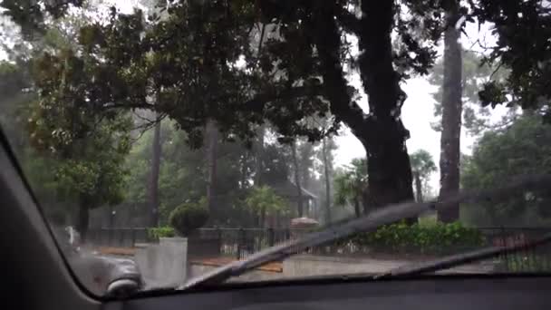 城市公园附近的路上下着大雨 从车内透过挡风玻璃观看 溪流下的树冠 — 图库视频影像