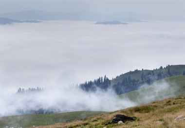 Yuvarlanan yeşil tepeleri dağınık kulübeleri ve dolambaçlı yolları olan nefes kesici bir dağ manzarası. Sis ve bulutlar vadiyi örterek doğanın dokunulmamış güzelliğinin huzurlu ve huzurlu bir görüntüsünü yaratıyor.