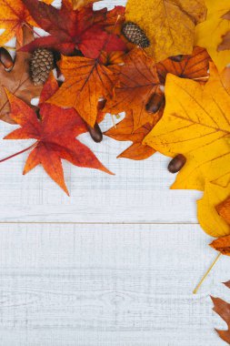 Beyaz ahşap masa gibi arka plan üzerinde renkli arka plan görüntüsü düşmüş sonbaharın bırakır. Üstten görünüm, kopya alanı