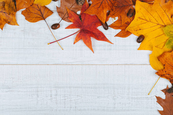 Colorful background image of fallen autumn leaves on white wooden table like background. Top view, copy space