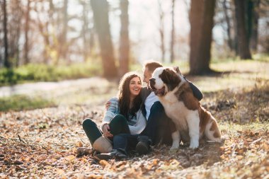 Açık havada çok güzel onların Saint Bernard köpek yavrusu ile birlikte zevk doğa genç çift. İnsanlar ve köpekler Tema.