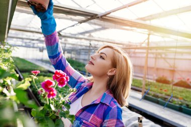 Serada çalışan ve güzel çiçekler zevk çekici genç kadın