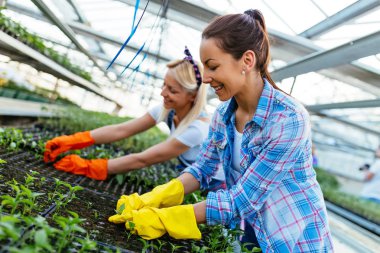 Serada çalışan ve tohum Ekim iki çekici genç kadın.