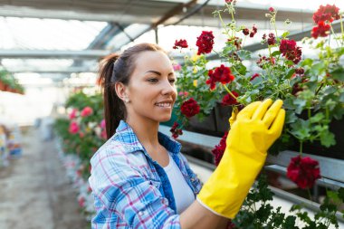 Serada çalışan, tohum Ekim ve güzel çiçekler zevk çekici genç kadın