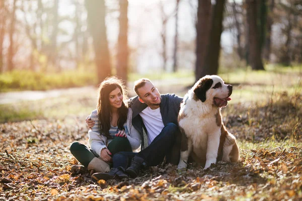 Young Couple Enjoying Nature Outdoors Together Adorable Saint Bernard Puppy — Stock Photo, Image