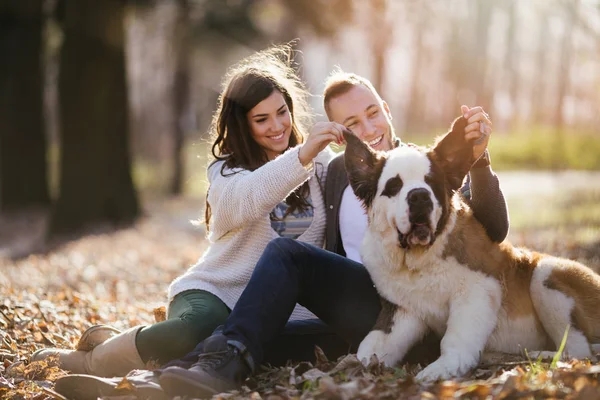 Young Couple Enjoying Nature Outdoors Together Adorable Saint Bernard Puppy — Stock Photo, Image
