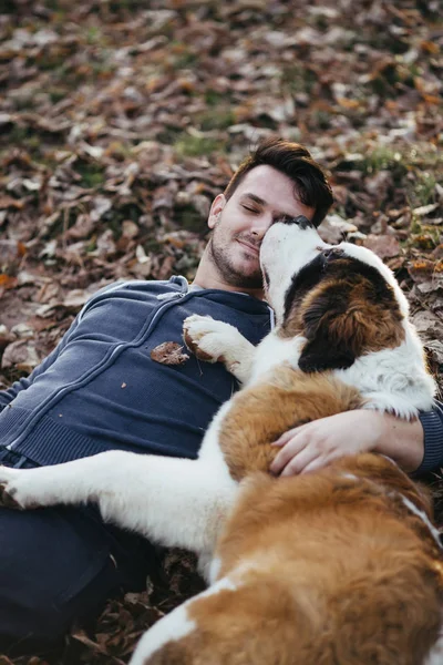 People and dogs. Young handsome man enjoying nature or park outdoors together with his adorable Saint Bernard puppy