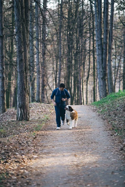 Persone Cani Giovane Bell Uomo Godendo Natura Parco All Aperto — Foto Stock